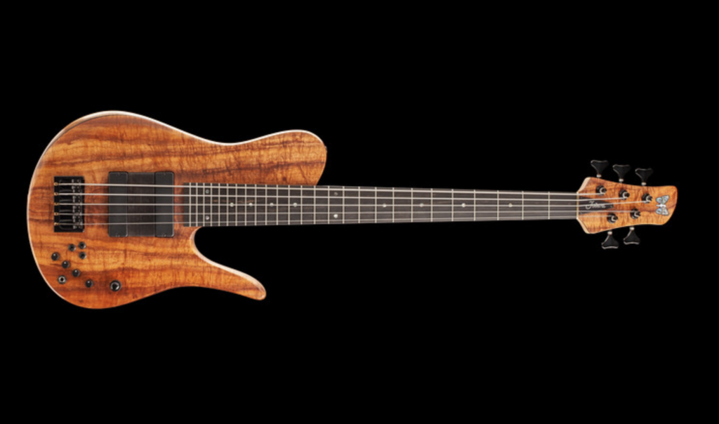 Damian Coccio's custom single-cut Koa 5-string Fodera bass
