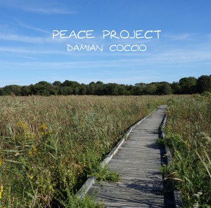 Peace Project — Damian Coccio