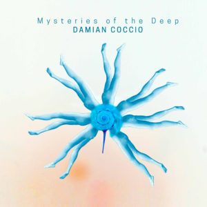 New Damian Coccio Solo Bass Album 